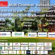 Multi-Chamber Networking Night