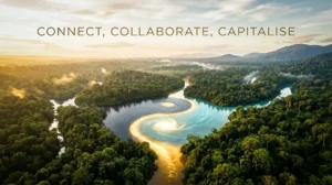 Networking for Net Profit: A Playbook for Finnish Companies’ ASEAN Market Entry
